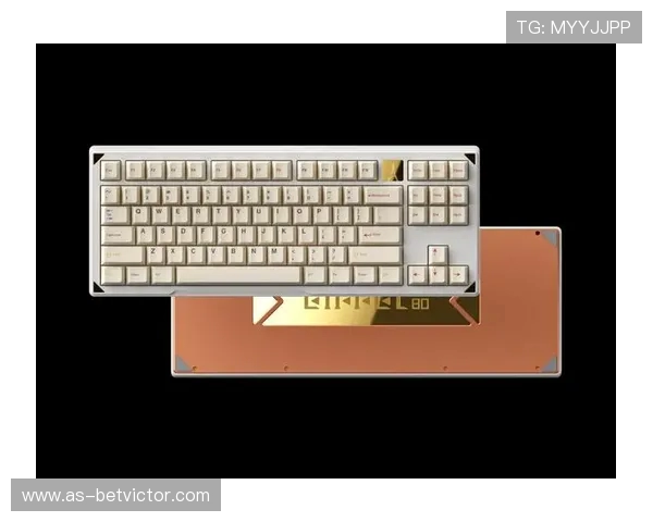 使用WK87键盘玩游戏的体验分析与性能评测 使用WK87键盘玩游戏的体验分析与性能评测